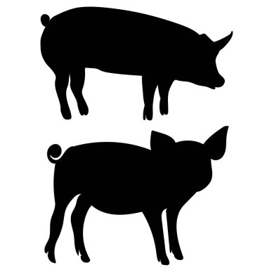 Domuz silueti siyah izole edilmiş, vektör