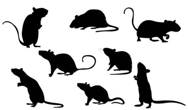 siyah siluet fare, fare seti izole edilmiş, vektör