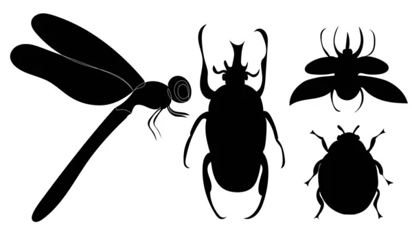 Siluety Brouků Hmyz Nastavit Izolované — Stockový vektor