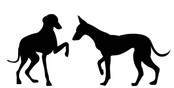 Dog Silhouette Black Isolated Vector —  Vetores de Stock