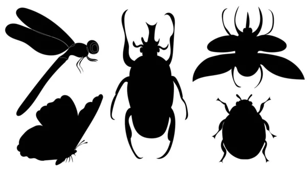 Siluety Brouků Hmyz Nastavit Izolované Vektor — Stockový vektor