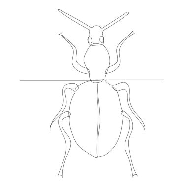 Böcek, böcek çizimi, sürekli bir çizgi, vektör.