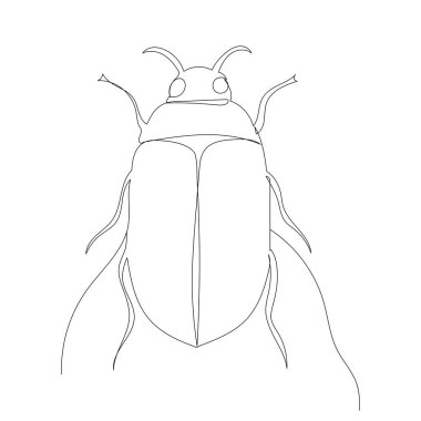 Böcek, böcek çizimi sürekli bir çizgi, vektör, izole edilmiş.