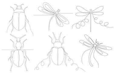 Yusufçuk, böcek, böcek çizimi sürekli tek bir çizgi, vektör, izole edilmiş.