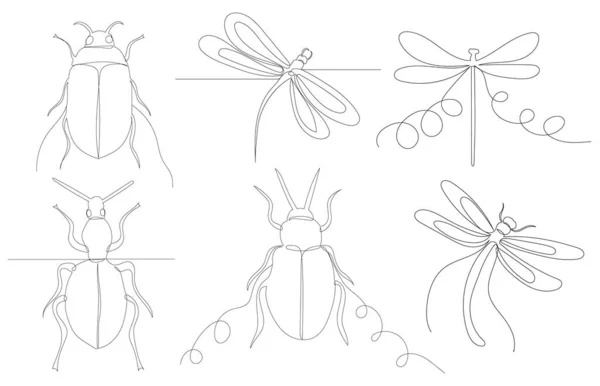 Libélula Besouro Desenho Esboço Insetos Por Uma Linha Contínua Vetor —  Vetores de Stock