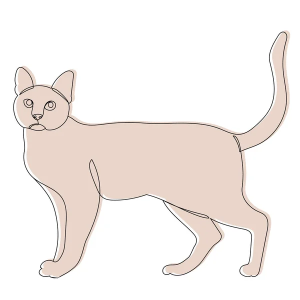Boceto Gato Contorno Vector Aislado — Archivo Imágenes Vectoriales