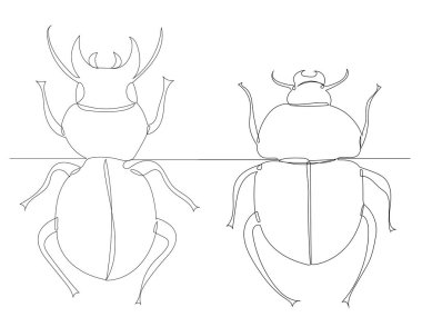 Böcek, böcek çizimi, sürekli bir çizgi, vektör.