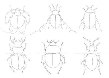 Böcek, böcek çizimi tek bir çizgi üzerinde.