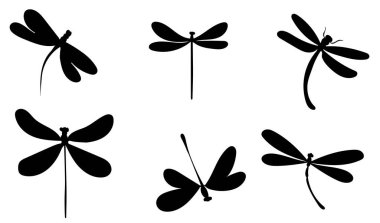 Yusufçuk silueti beyaz arka plan, vektör, izole edilmiş