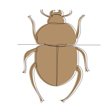 kahverengi böcek, çizim, satır satır, vektör
