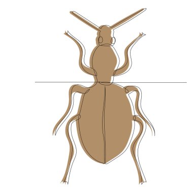  Böcek, taslak, satır satır.