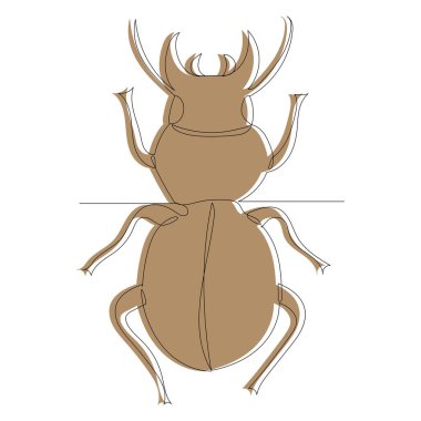 kahverengi böcek, taslak, satır satır.