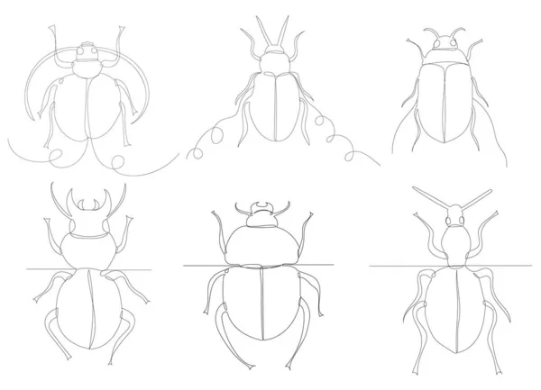 Beetle Insect Sketch Drawing One Continuous Line — Stock Vector