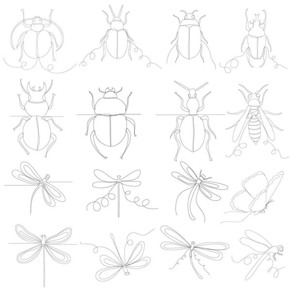 Dragonfly Beetle Set Sketch Drawing One Continuous Line Vector Isolated — Vetor de Stock