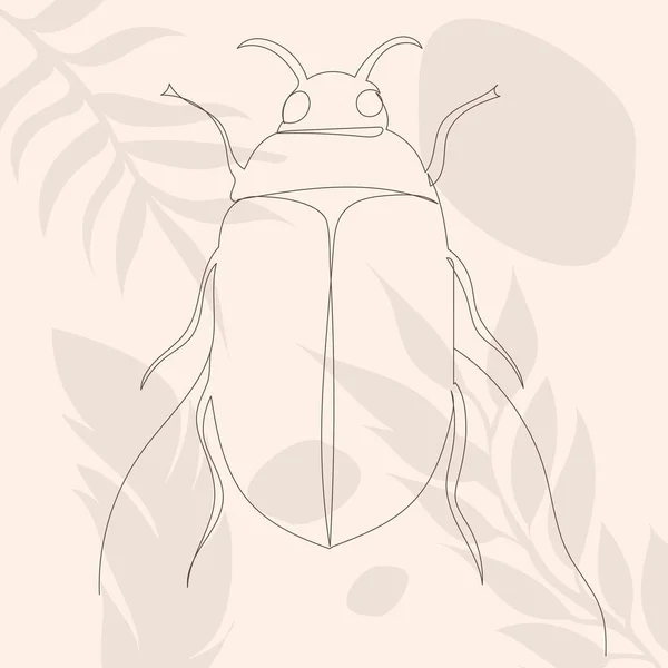 Beetle Insect Drawing Line Abstract Brown Background Vector — Stock Vector