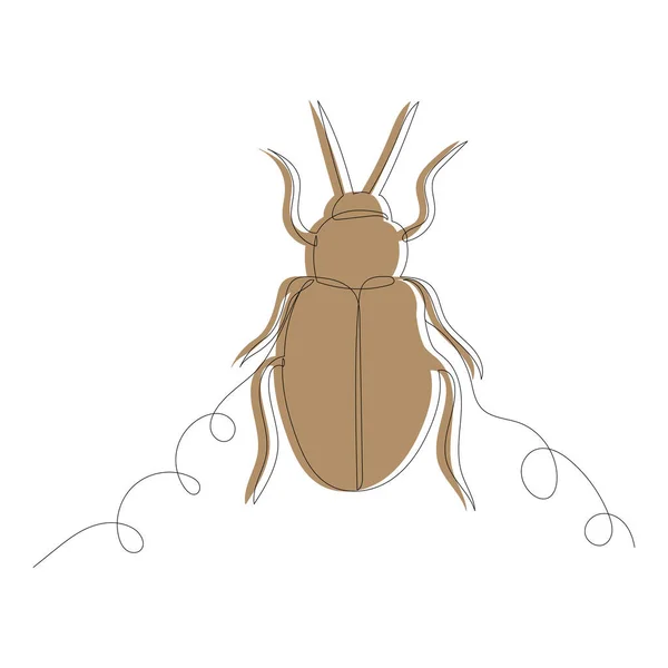 Beetle Sketch Contour Line Vector — Image vectorielle