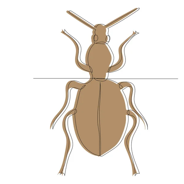 Beetle Sketch Outline Line — Stock Vector