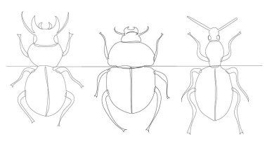 Böcek, sürekli çizim yapan bir çizgi, vektör.