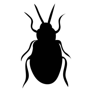 Böcek, böcek, siyah siluet, izole edilmiş