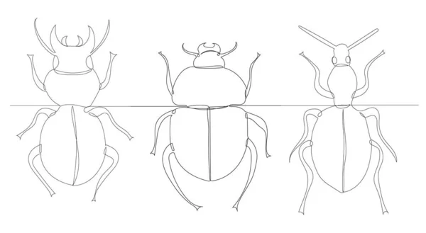 Beetle Sketch Drawing One Continuous Line Vector — Stockový vektor