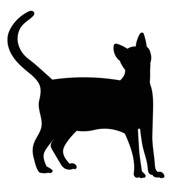 Γάτα Μαύρη Σιλουέτα Απομονωμένη Διάνυσμα — Διανυσματικό Αρχείο