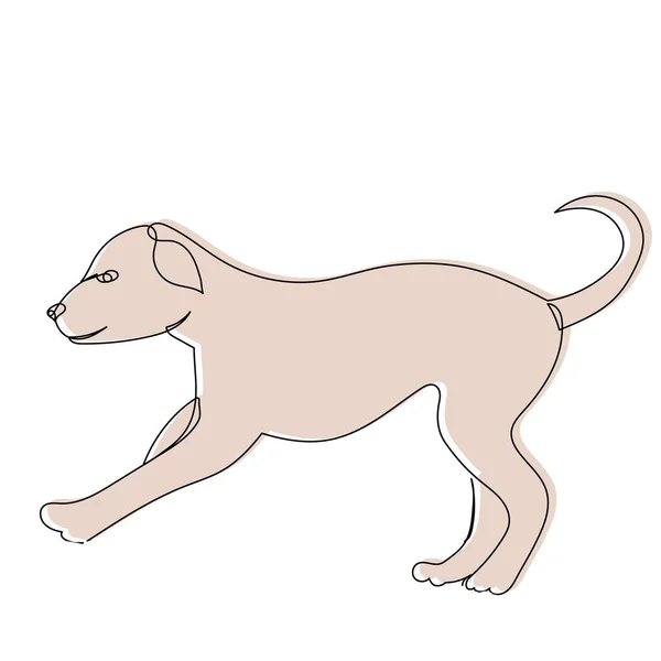 Puppy Sketch Line Drawing Vector Isolated — стоковый вектор