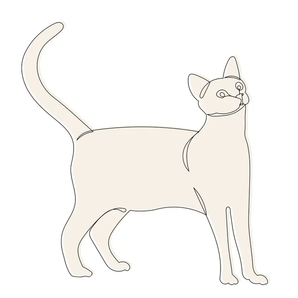 Cat Sketch Line Drawing Isolated —  Vetores de Stock