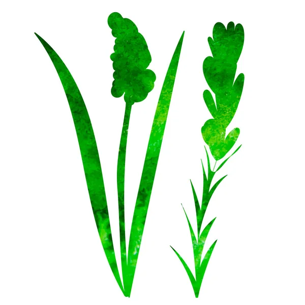 Bitkiler Yeşil Suluboya Siluet Izole Vektör — Stok Vektör