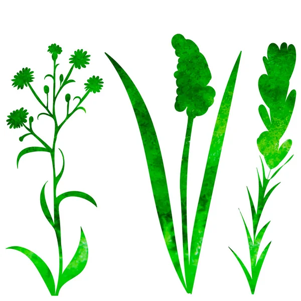 Plants Green Watercolor Silhouette Isolated — Vector de stock