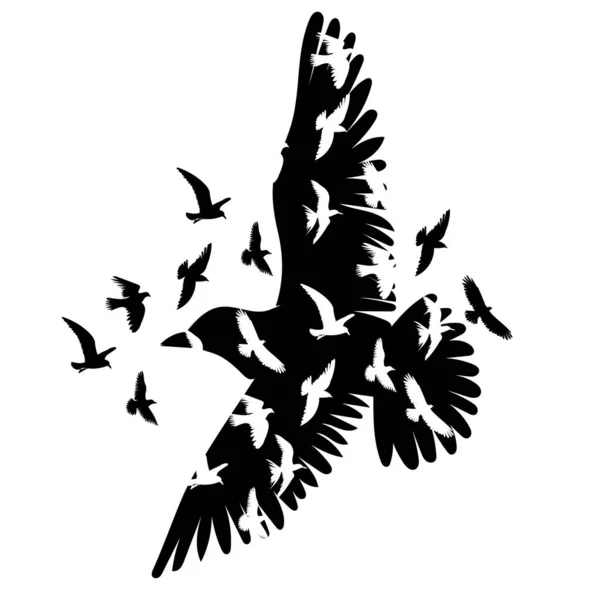 Uçan Kuşlar Siyah Siluet Izole Vektör — Stok Vektör