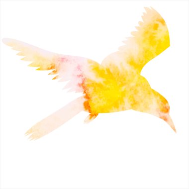 Kuş uçan suluboya siluet, izole edilmiş, vektör, simge