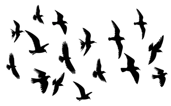 Birds Flying Silhouette Icon Isolated Vector - Stok Vektor