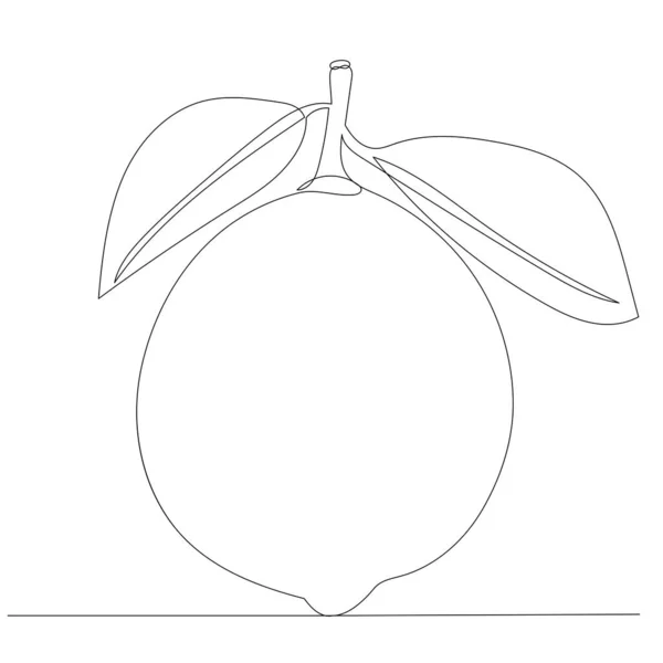 Citron Citron Vert Dessin Continu Isolé Vecteur — Image vectorielle