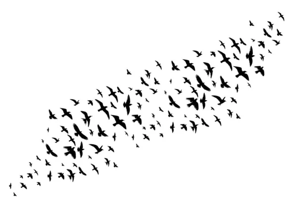 Flock Flying Birds Set Isolated Vector — Vettoriale Stock