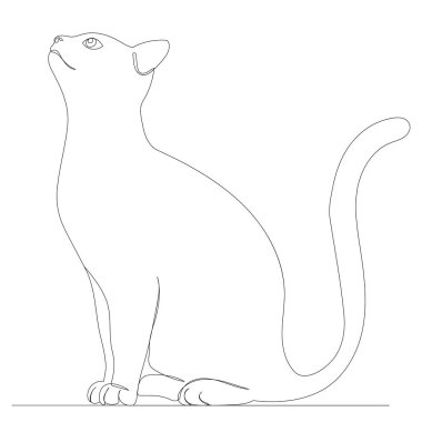 kedi oturarak sürekli bir çizgi çizer, izole edilmiş, vektör