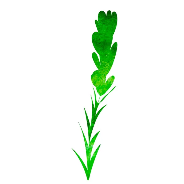 Bitki Suluboya Yeşil Siluet Izole — Stok Vektör