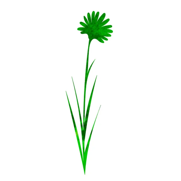 Plant Watercolor Green Silhouette Isolated Vector — Vetor de Stock