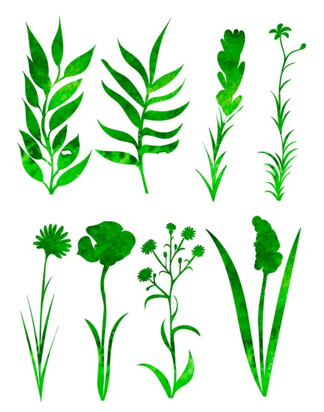 Plantes Fleurs Ensemble Aquarelle Silhouette Isolé — Image vectorielle