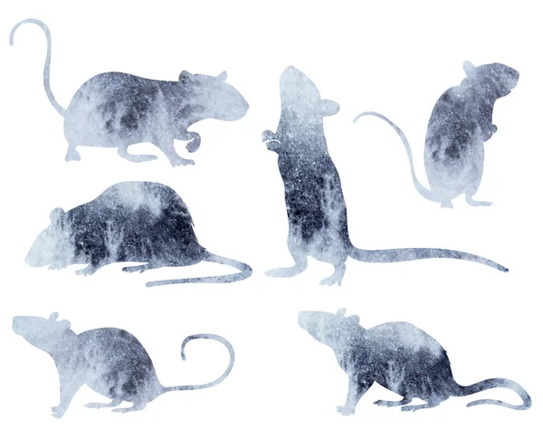 Mouse Rat Set Watercolor Silhouette Isolated Vector — Vector de stock