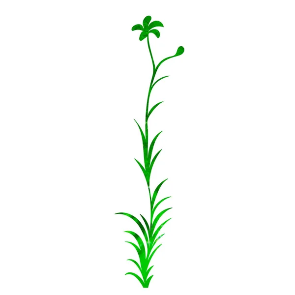 Planta Verde Acuarela Silueta Conjunto Aislado — Vector de stock