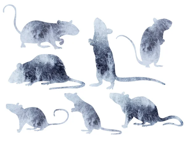 Mouse Rat Set Watercolor Silhouette Set Isolated Vector — Stock Vector