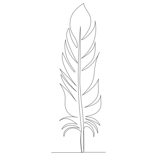 Bird Feather Drawing One Continuous Line Isolated Vector —  Vetores de Stock