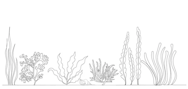 Algae Drawing One Continuous Line Isolated Vector — Stockvektor