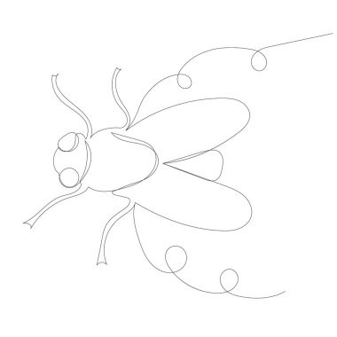 Sinek çizimi aralıksız bir çizgi, izole edilmiş, vektör