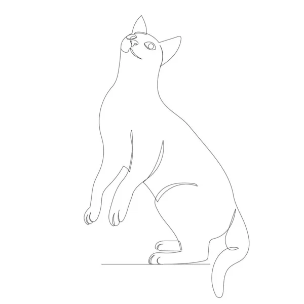 Рисование Кошкой Одной Сплошной Линии Изолированный Вектор — стоковый вектор
