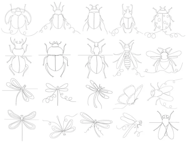 Insects Set One Continuous Line Drawing Isolated Vector — Stock Vector