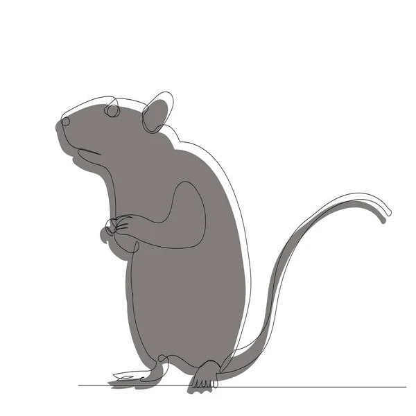 Rat Mouse Drawing One Continuous Line Isolated Vector — Stockvektor