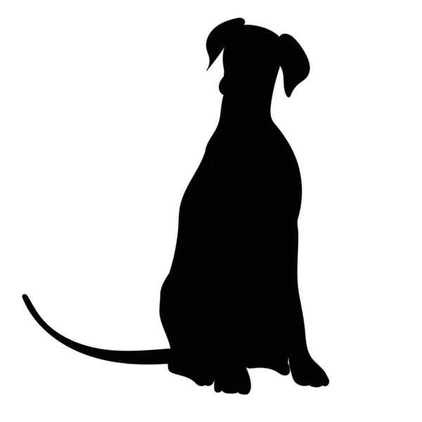 Dog Sitting Silhouette White Background Isolated Vector — Vetor de Stock