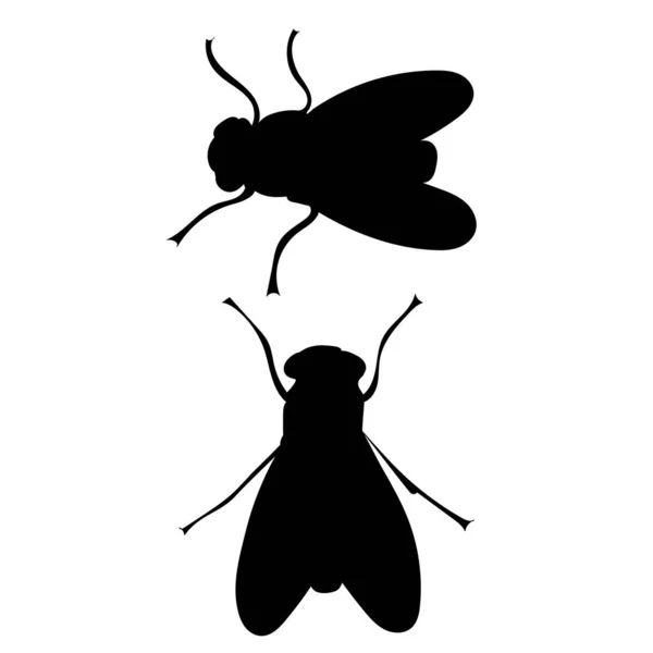 Flies Silhouette White Background Isolated Vector — Vetor de Stock