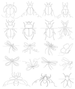 insects set sketch one line drawing,vector